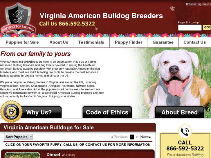 www.virginiaamericanbulldogbreeders.com