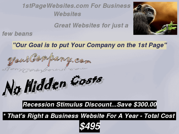 www.1stpagewebsites.com