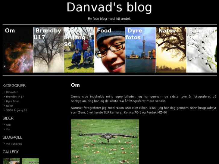 www.danvad.net