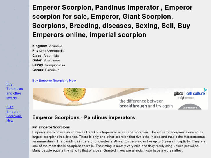 www.emperor-scorpion.com