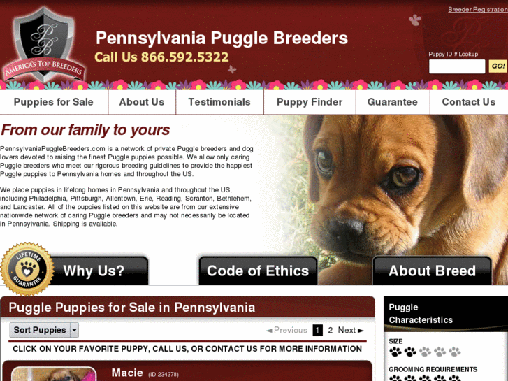 www.pennsylvaniapugglebreeders.com