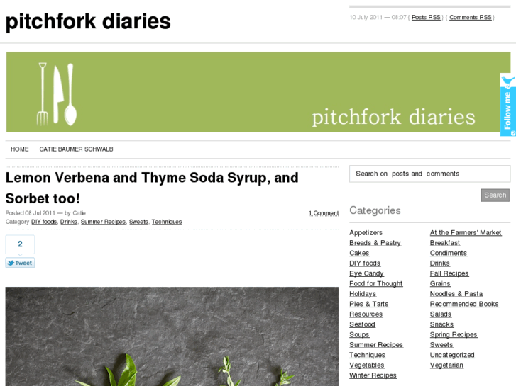 www.pitchforkdiaries.com