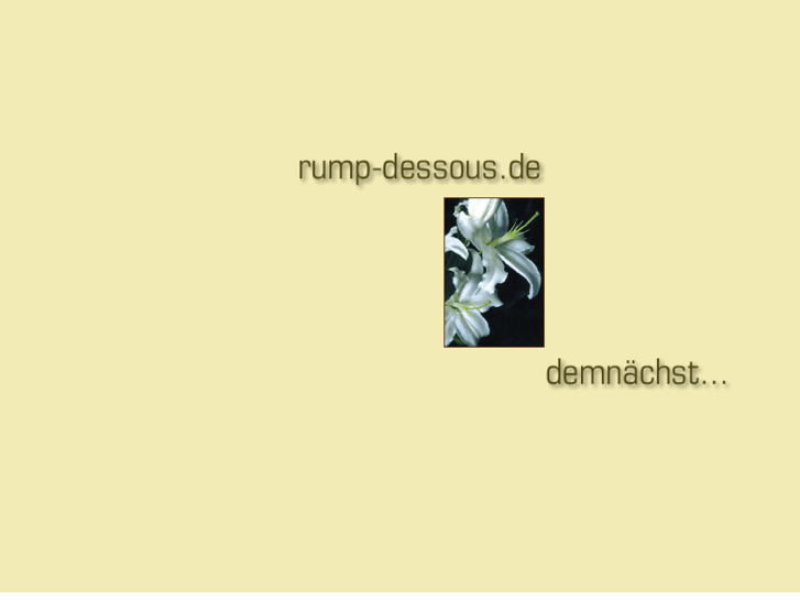 www.rump-dessous.com