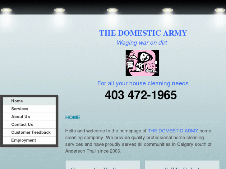 www.thedomesticarmy.com