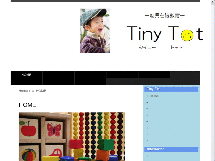 www.tinytot-brain.com