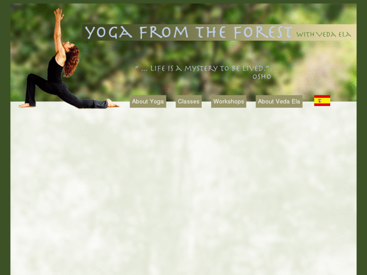 www.yogafromtheforest.com