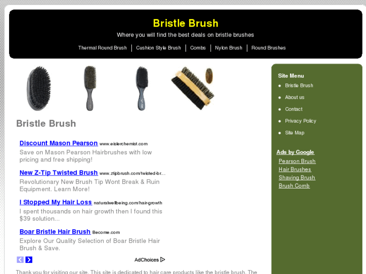 www.bristlebrush.org