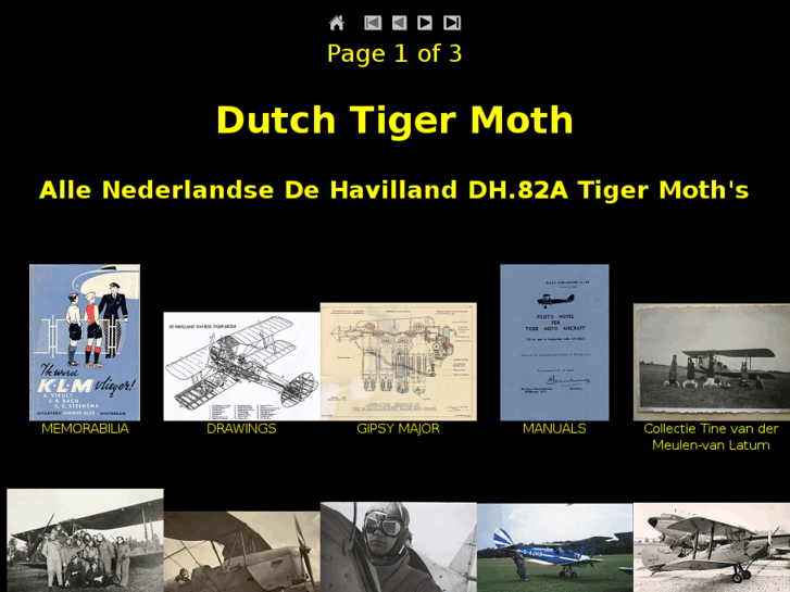 www.dutchtigermoth.com