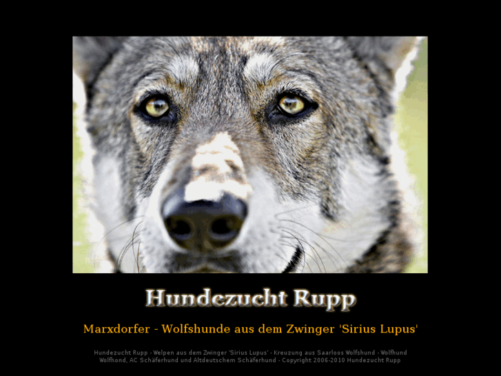 www.marxdorfer-wolfshunde.com