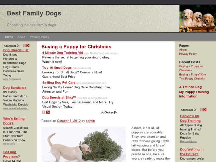 www.bestfamilydogs.net