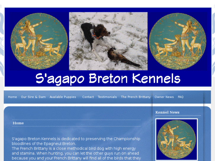 www.frenchbrittanysagapokennel.com