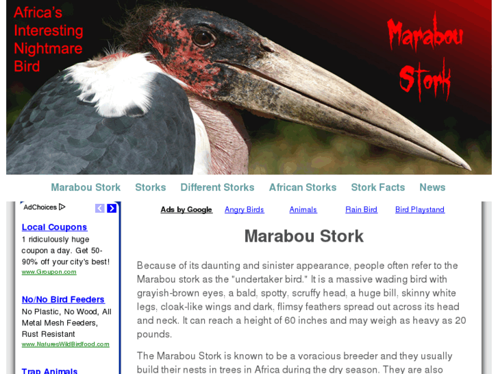 www.maraboustork.com