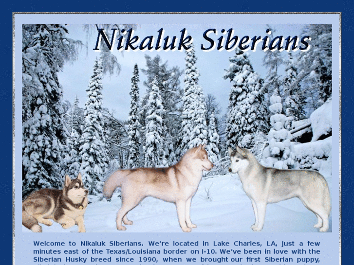 www.nikaluksiberians.com