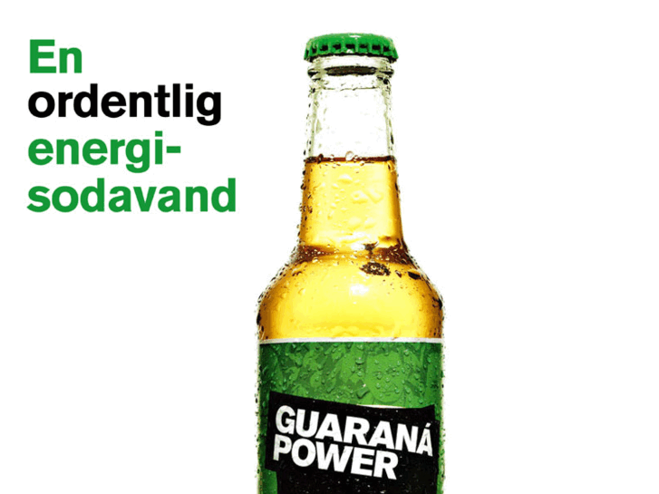 www.guaranapower.org