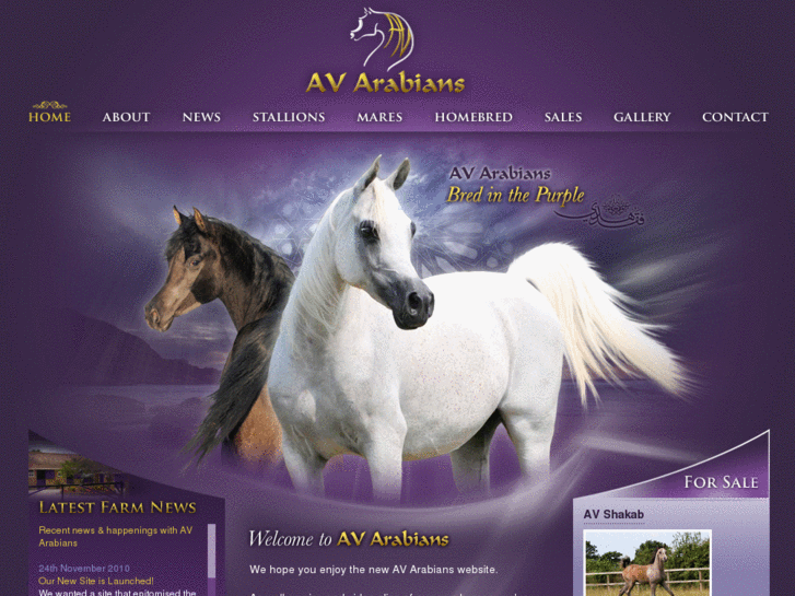 www.avarabians.com