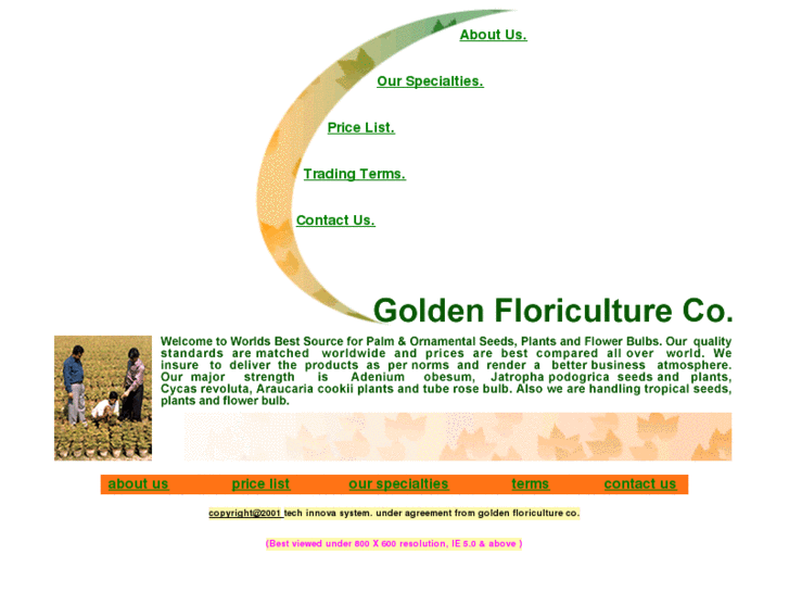 www.goldenfloriculture.com