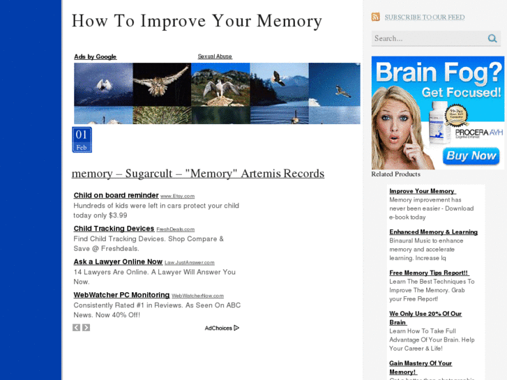 www.howtoimproveyourmemory.info