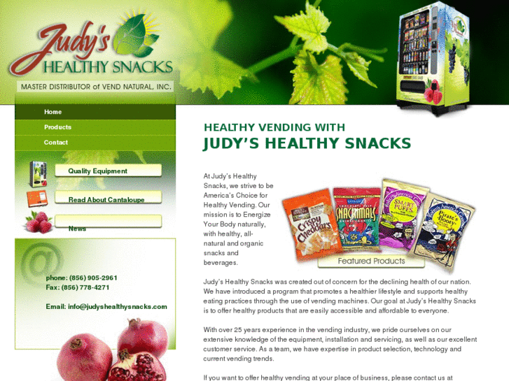 www.judyshealthysnacks.com