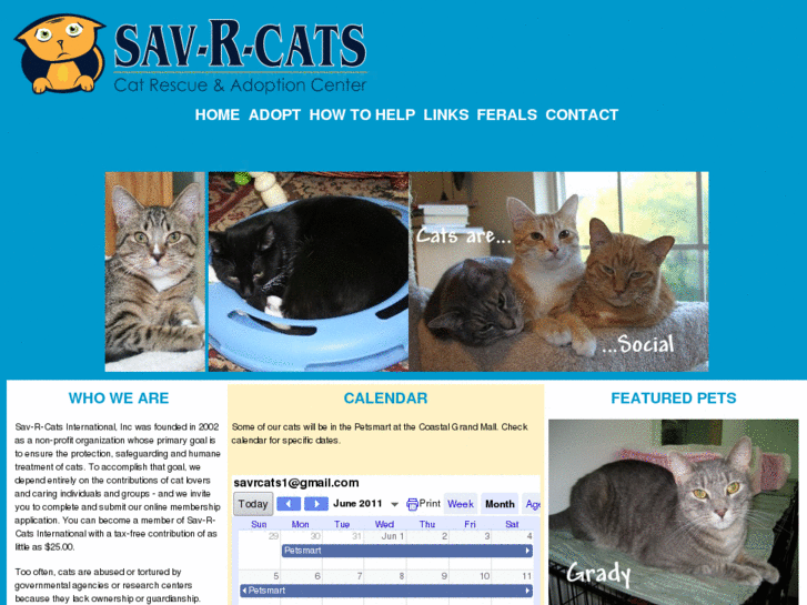 www.sav-r-cats.com