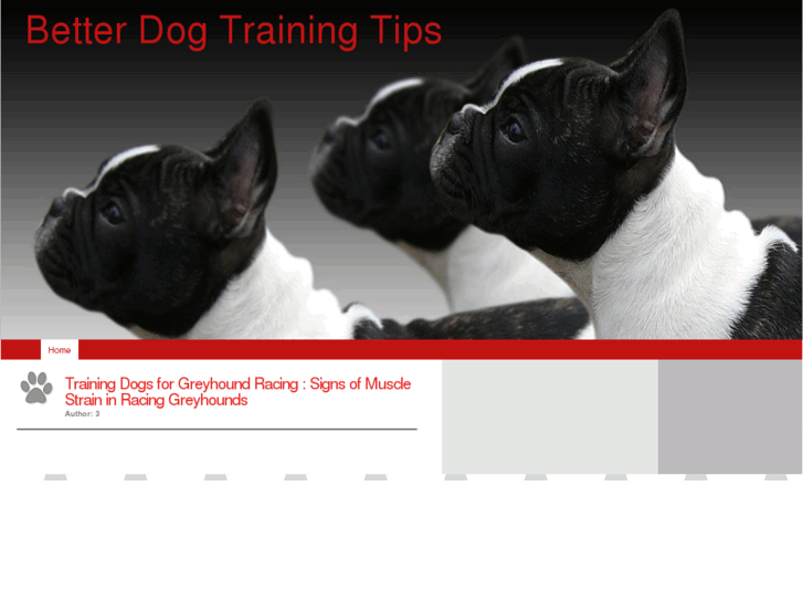 www.betterdogtrainingtips.com