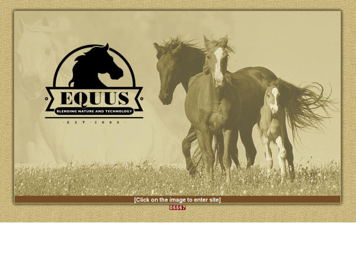 www.equusfeeds.co.za