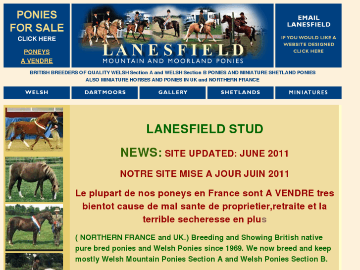 www.lanesfieldponies.co.uk