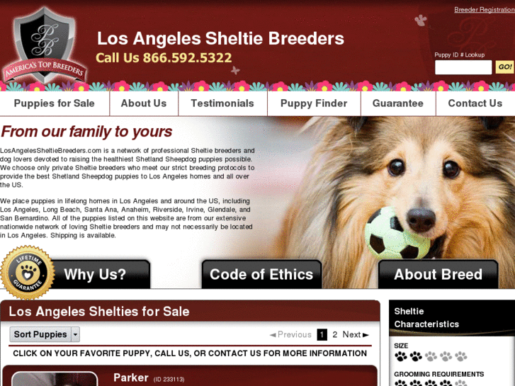 www.losangelessheltiebreeders.com