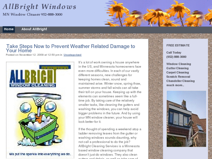 www.mnwindowcleaner.com