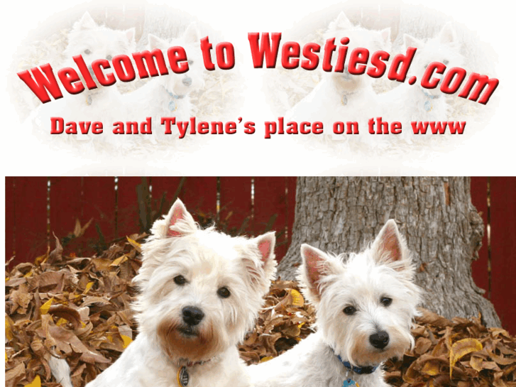 www.westiesd.com