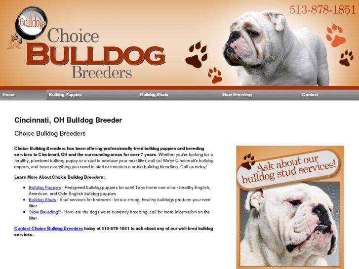 www.choicebulldogbreeders.com