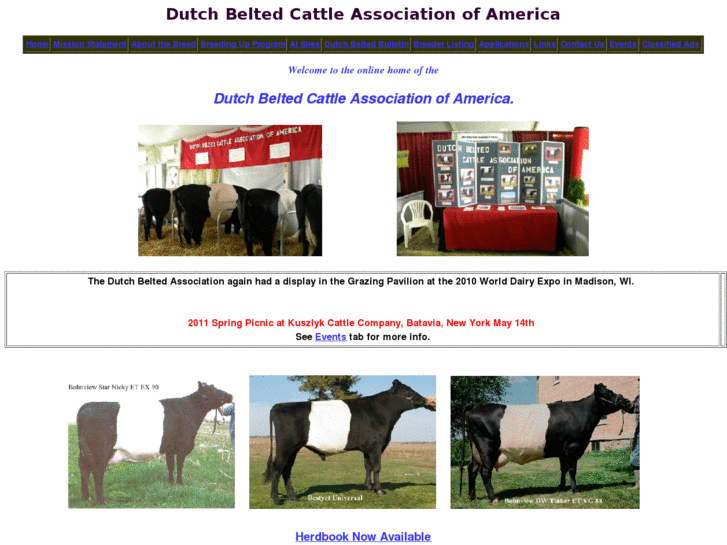 www.dutchbelted.com