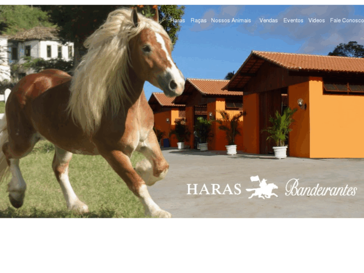 www.haras-bandeirantes.com