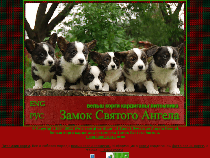 www.nashi-corgi.ru