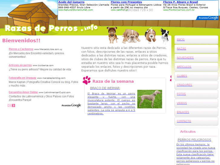 www.razas-de-perros.info