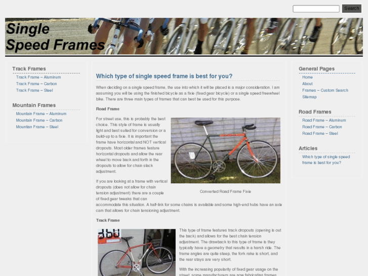 www.singlespeedframe.com