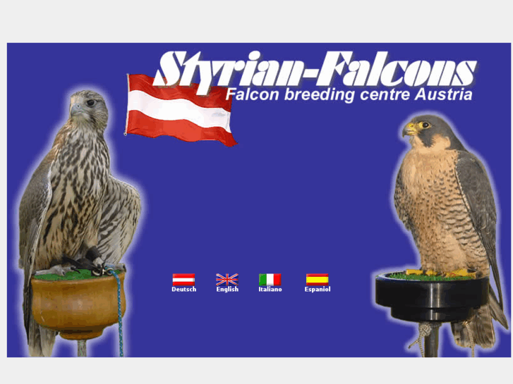 www.styrianfalcons.com