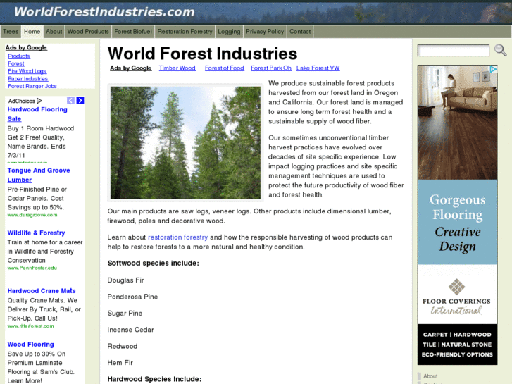 www.worldforestindustries.com