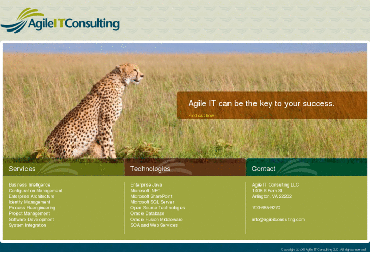 www.agileitconsulting.com