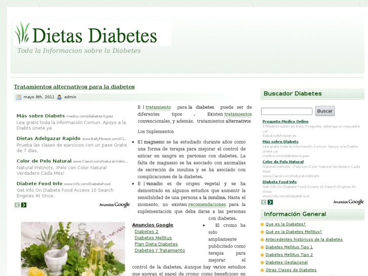 www.dietasdiabetes.com