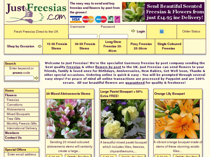 www.justfreesia.com