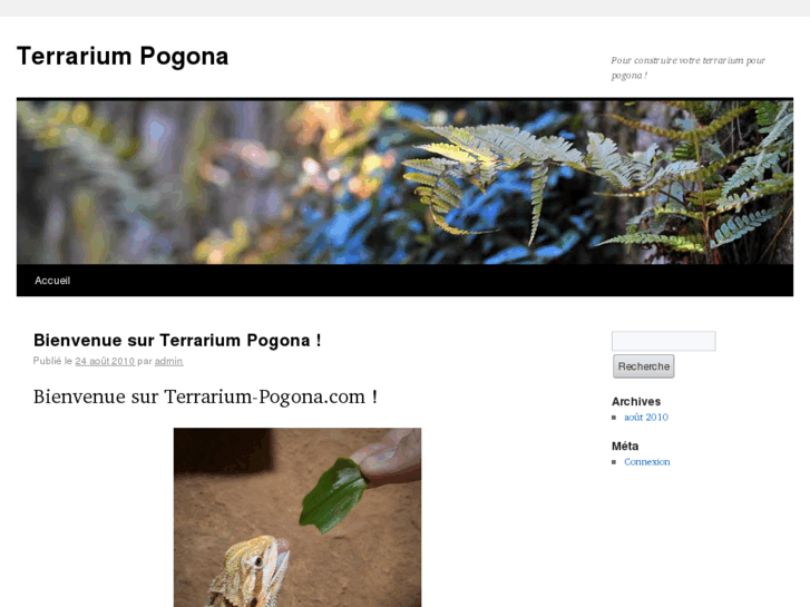 www.terrarium-pogona.com