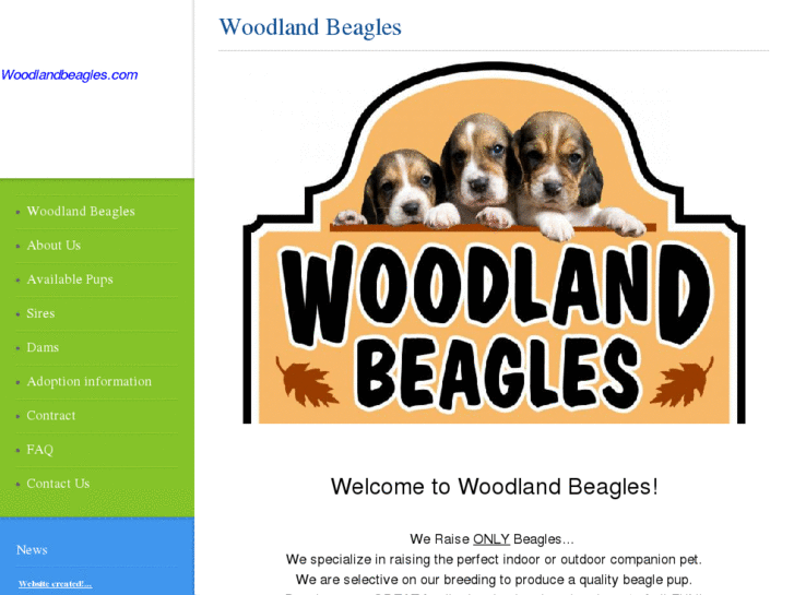 www.woodlandbeagles.com