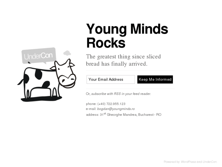 www.youngminds.ro