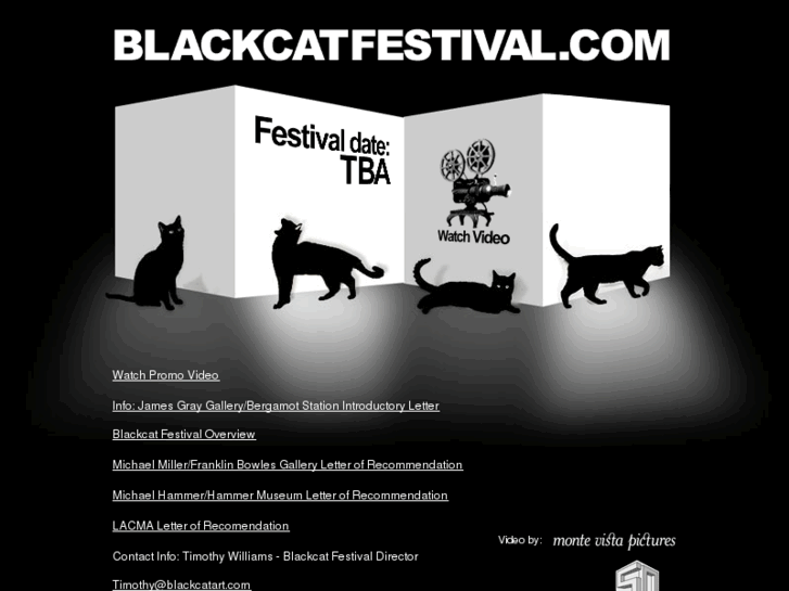 www.blackcatfestival.com