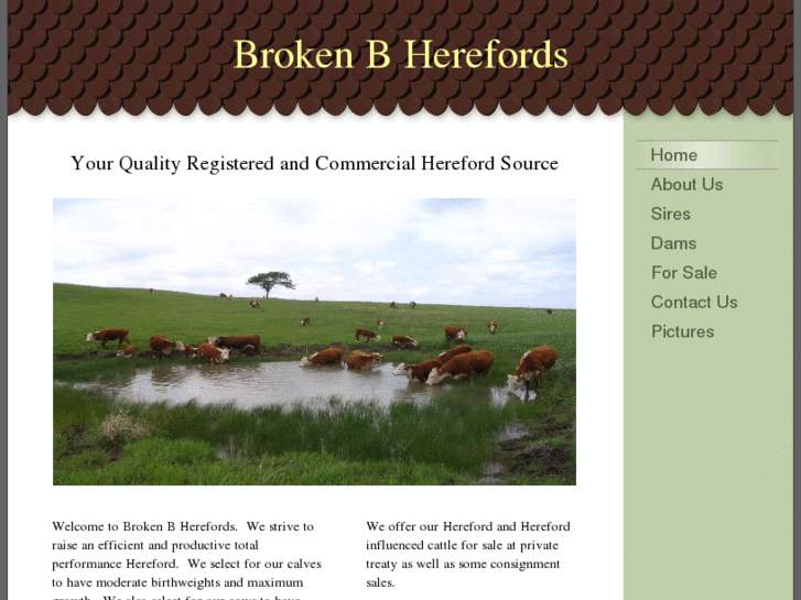 www.brokenbherefords.com