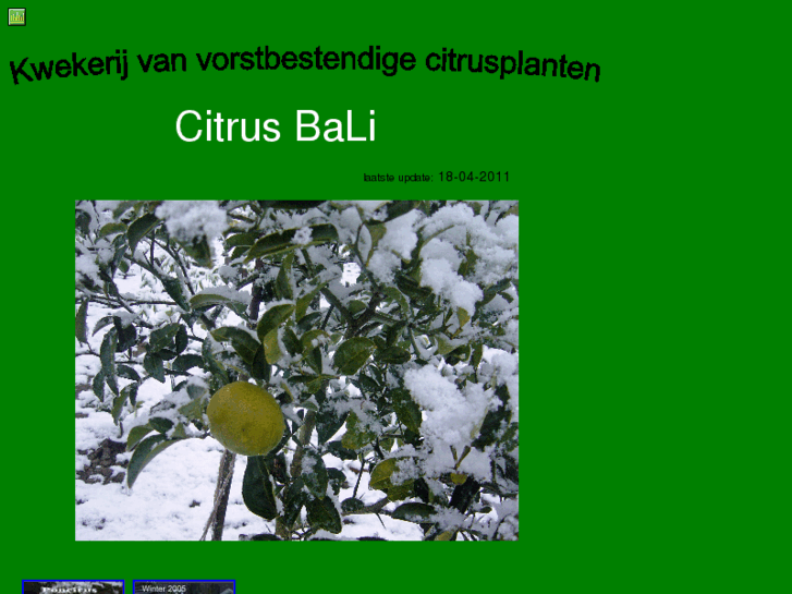 www.citrusbali.com