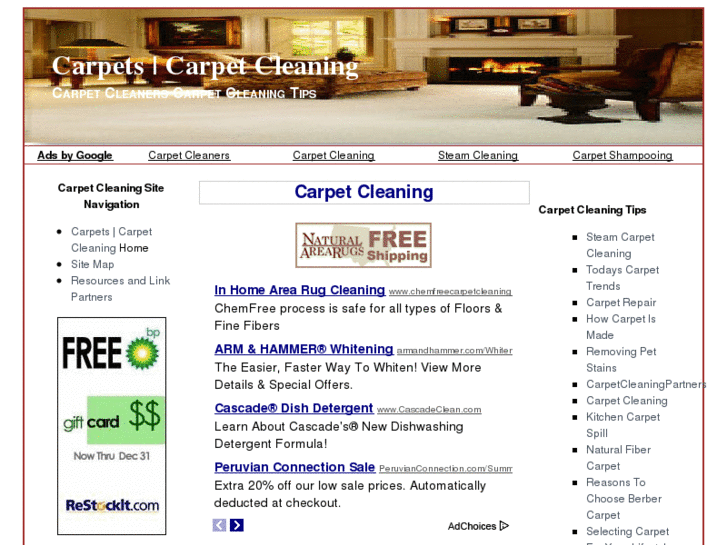 www.cleaning-carpet-tips.com