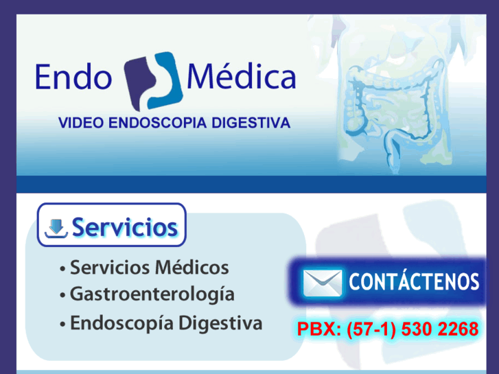 www.endomedicalimitada.com