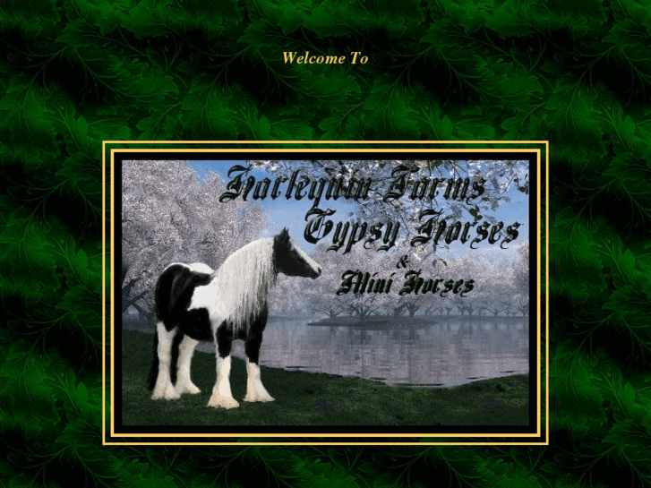 www.harlequinfarmsgypsyhorses.com