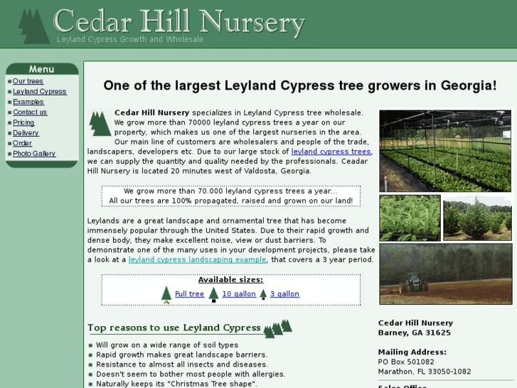 www.leylandcypress.com